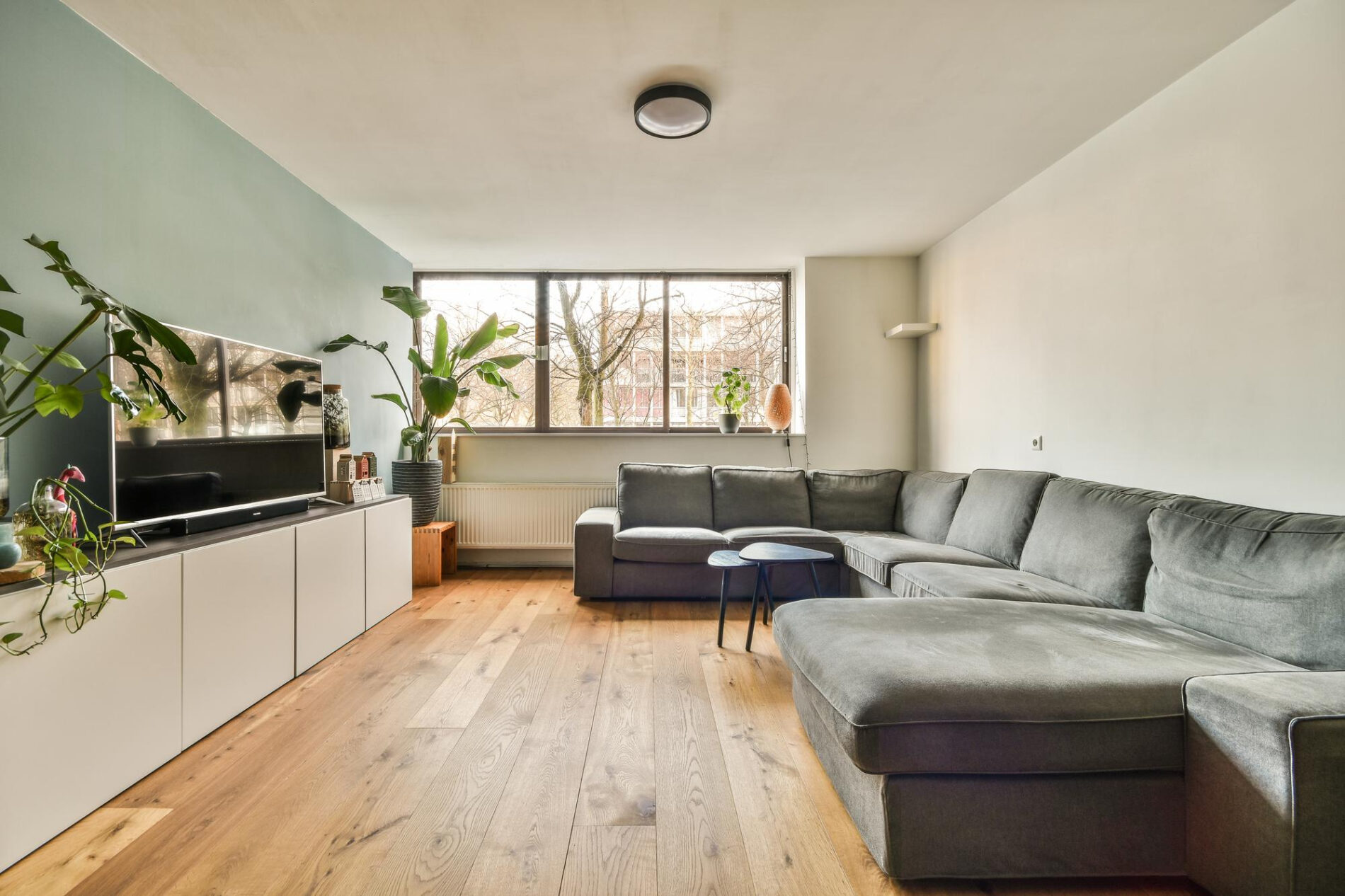 garage conversion redmond