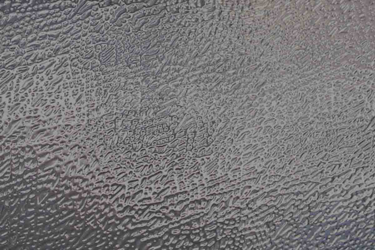 Frosted and textured glass windows for privacy and elegance