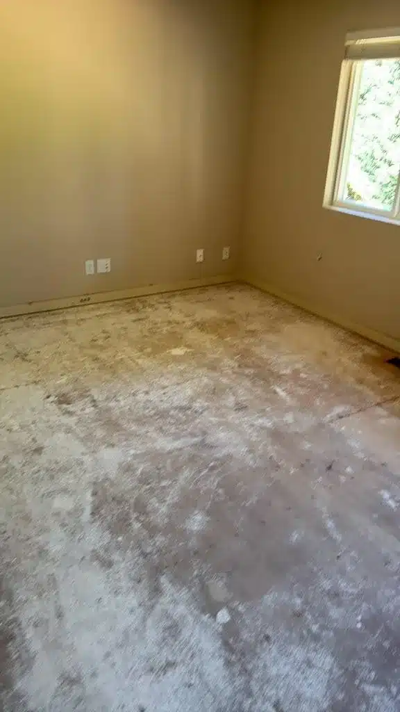 Cleared room before rough-ins on a full home remodel, with outlet positions marked on the walls before the layout is locked